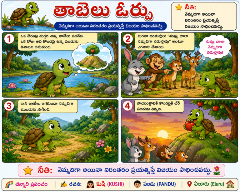 తాబేలు ఓర్పు